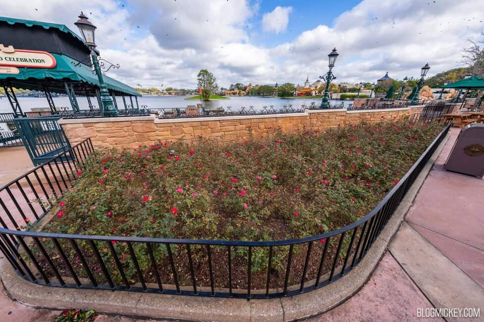 Snow White & Dopey Topiaries Arrive for 2024 EPCOT Flower